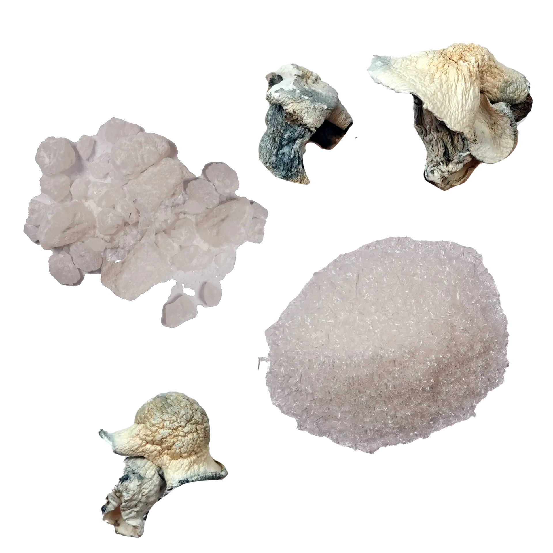 where can you get dmt